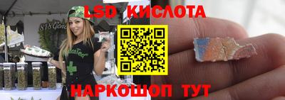 спиды Гатчина