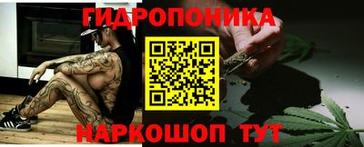 спиды Гатчина