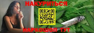 спиды Гатчина
