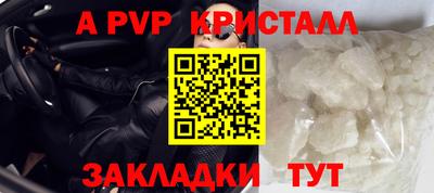 спиды Гатчина