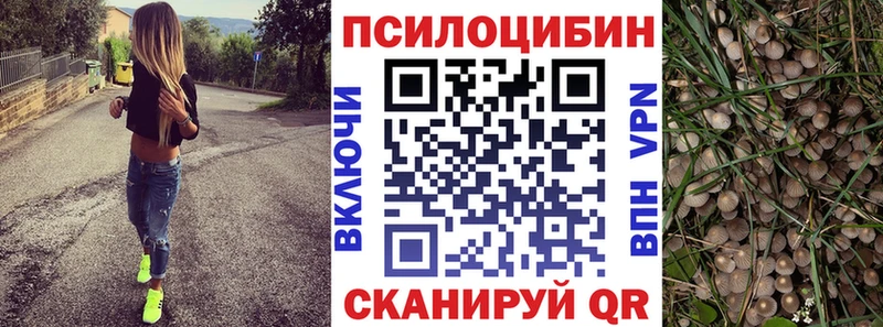 Галлюциногенные грибы Cubensis  хочу наркоту  Домодедово 