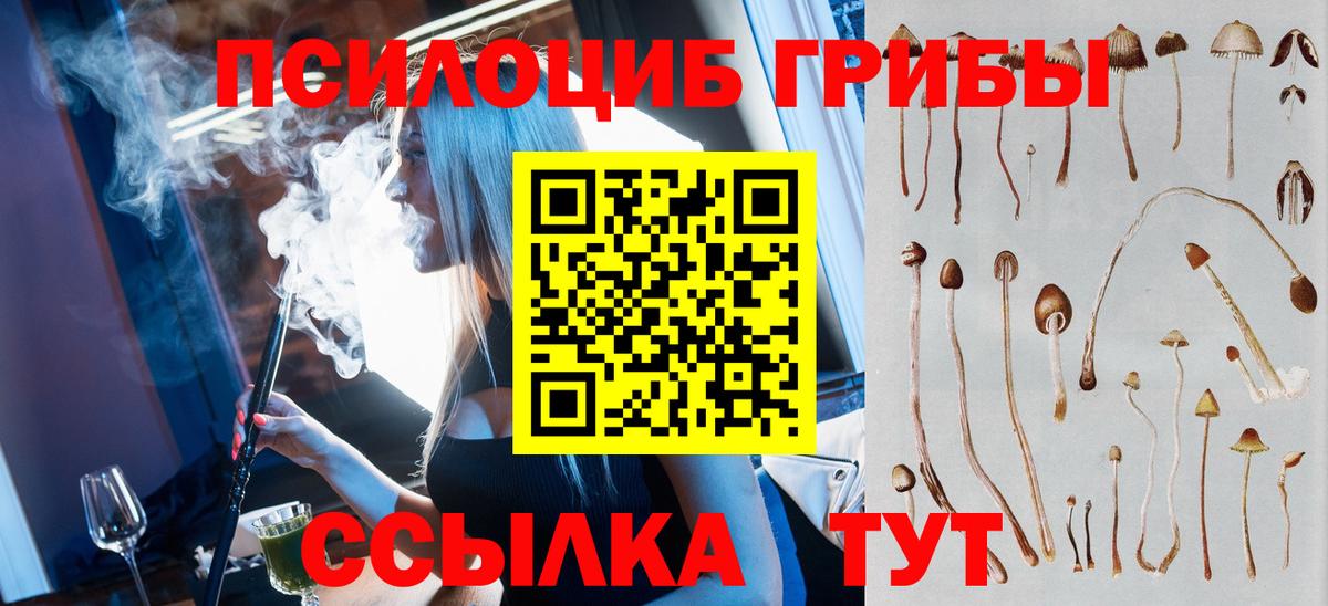 Псилоцибиновые грибы GOLDEN TEACHER  Домодедово 