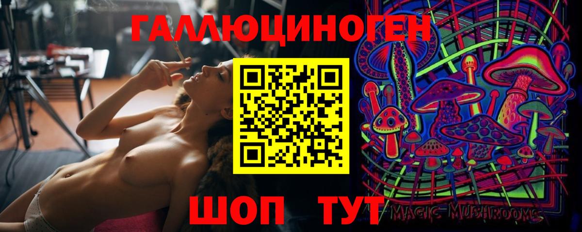 Псилоцибиновые грибы Cubensis  Вход с VPN  Домодедово 